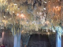 -丽华园(汉阳龙阳店)