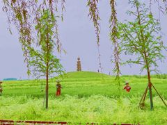 -兰陵国家农业公园