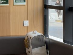 -半岛宠物医院24小时·内窥镜·牙科·碎石中心(府城大道店)