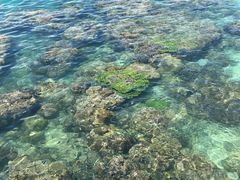 -三亚西岛海洋文化旅游区