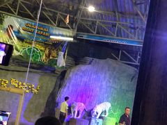 -清迈夜间动物园