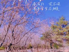 -绿堤公园