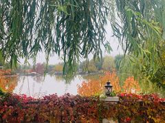 -静之湖湖畔餐厅