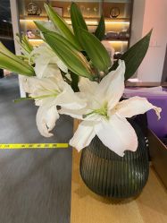 -FineYoga梵音瑜伽·普拉提