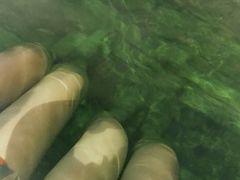 -杭州第一世界大酒店·云曼温泉