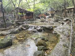 -天门沟九州驿站树上汤泉