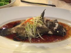 清蒸老虎斑-唐宫海鲜舫