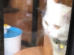 -彳亍咖啡·这里(水湾路店)