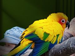 -北京野生动物园