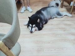 -白兔子密室(长寿路店)