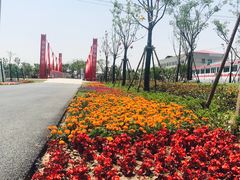 -菊园百果园