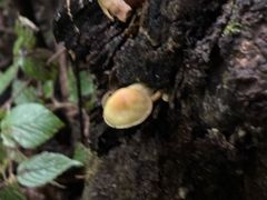 -青峰峡国家森林公园