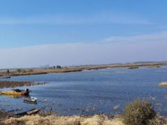 -白渔泡湿地公园