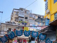 -猫咪博物馆(顶澳仔猫街店)