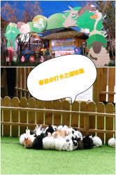 -萌宠亲子动物乐园(槐房万达店)