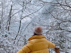 -九峰山
