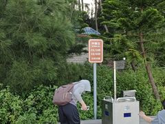 -大京沙滩