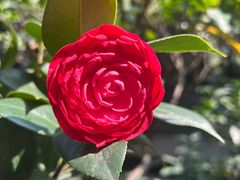 -东江渔村·古典园林·30年粤菜老字号(太和店)
