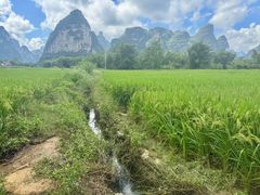 -明仕田园
