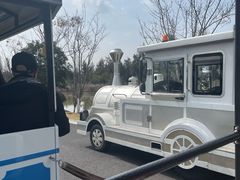 -漩门湾国家湿地公园