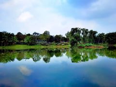 -白鹭湾湿地公园