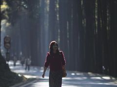 -山王坪喀斯特国家生态公园