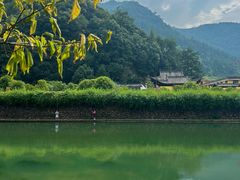 -芦茨金富饭庄·25年老字号·专做稻草鸡