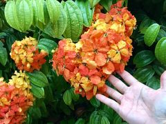 -文龙国际健身院