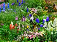 -上海共青森林公园