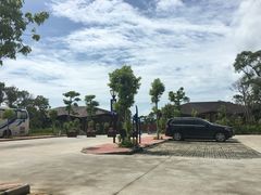 -广东惠东海龟国家级自然保护区