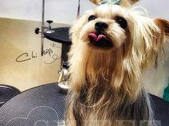 -Double Rui宠物酒店