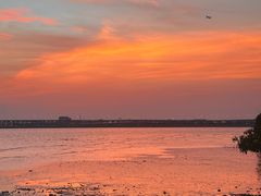 -宝安西湾红树林湿地公园