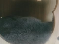 -203密室体验馆·逃脱·聚会·亲子(工体店)