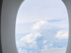 -新加坡航空公司(ION)