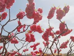 -颐和园