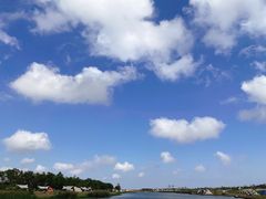 -春花秋色城市公园