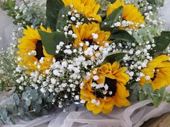 -田园花舍花店(北城未来实体店)