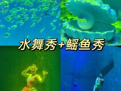 -哈尔滨极地公园