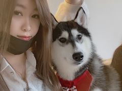 -Husky Go! 哈士奇体验馆·宠物咖啡厅狗咖