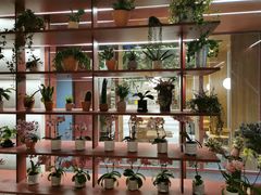 -二酉书店TOYOU BOOKS