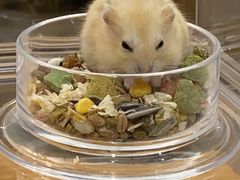 -龙猫仔乐园(惠福东路店)