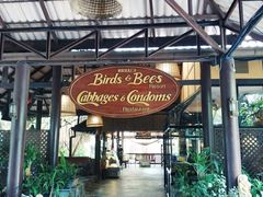 -卷心菜和避孕套餐厅(Pattaya)