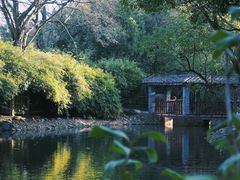 -八大山人梅湖景区