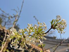 -潭柘寺景区