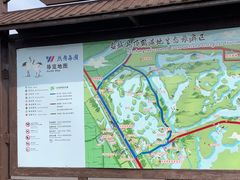 -盐城丹顶鹤湿地生态旅游区