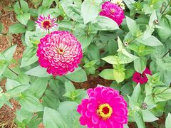 -中国香山·寿香谷