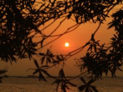 -吴淞炮台湾湿地森林公园烧烤区