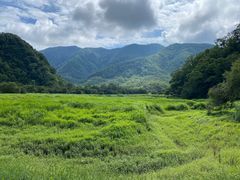 -大九湖