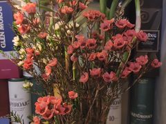 -Strawberry Butterfly草莓蝴蝶日式水果挞