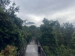 -野象谷景区